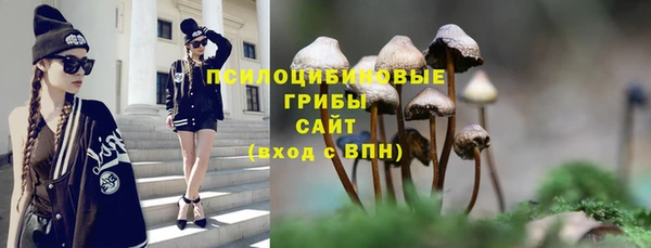 кокс Алзамай
