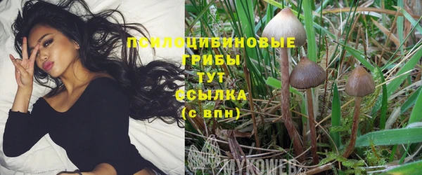 прущая мука Абдулино