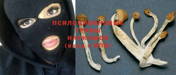 героин Абаза