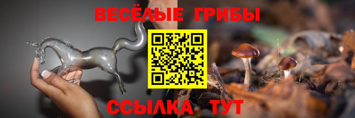 Галлюциногенные грибы Psilocybine cubensis  Вход с VPN  Владивосток 