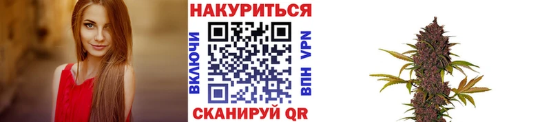 Бошки Шишки MAZAR  закладка  Владивосток 